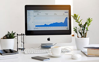 【早报】头铁的火鸟 嘴硬的穆鸟